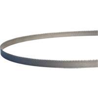 Master-Band&reg; Portable Band Saw Blades, Bi-Metal, 18 TPI, 44-7/8" L x 1/2" W Equipex