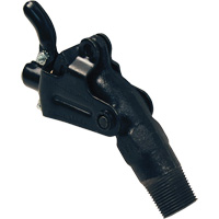 Robinet-vanne pour baril, Fonte, NPT 2" Equipex