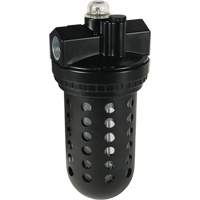 Lubrificateur standard L30 EconOmist Wilkerson, 3/4", Max. 150 psi, Standard Equipex