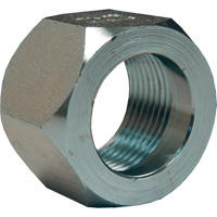 Dixon&reg; Mining Hex Nut, 1", Zinc Plated, NPT Thread Equipex