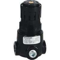 R&eacute;gulateur miniature R03 Wilkerson, 1/8" NPT, PSI max. de 300 psi, Standard Equipex