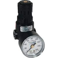 R&eacute;gulateur miniature R04 Wilkerson, 1/4" NPT, PSI max. de 300 psi, Standard Equipex