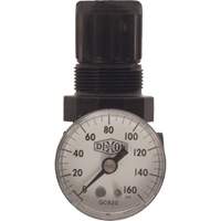 R&eacute;gulateur miniature de s&eacute;rie 1, 1/8" NPT, PSI max. de 100 psi, Standard Equipex