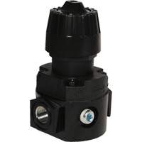 R&eacute;gulateur compact R16 Wilkerson, 1/4" NPT, PSI max. de 300 psi, Standard Equipex