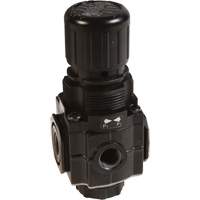 Collecteur de r&eacute;gulateur de s&eacute;rie 1, 1/4" NPT, PSI max. de 150 psi, Standard Equipex
