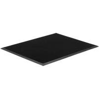 Tapis Gritstop Fingermat, Caoutchouc, Grattoir Type, Motif Textur&eacute;, 2' x 2-2/3', Noir Equipex