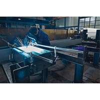 Serre-joint enti&egrave;rement en acier &agrave; double force variable Equipex