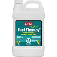 Nettoyant pour injecteur diesel Diesel Fuel Therapy Equipex