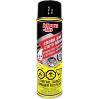 Nettoyant pour carburateurs Choke & Carb Kleen Equipex