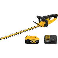Taille-haie MAX*, 22", 20 V, &agrave; pile Equipex