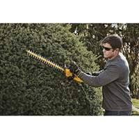 Taille-haie MAX*, 22", 20 V, &agrave; pile Equipex
