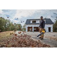 MAX* Brushless Handheld Blower (Tool Only), 20 V, 125 MPH Output, Battery Powered Equipex