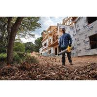 Ventilateur axial &agrave; main sans fil sans balai Max* FlexVolt, 60 V, Vitesse d'air 125 mi/h, &agrave; pile Equipex