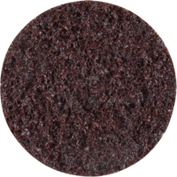 Standard Abrasives Surface Conditioning Discs, 2" Dia., Coarse Grit Equipex