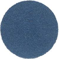 PSA Sanding Discs