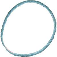 Scotch-Brite Surface Conditioning Belt Equipex