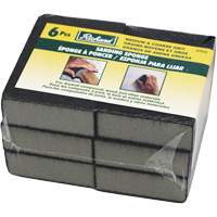 Wet and Dry Sanding Sponges Equipex