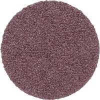 PSA Cloth Disc 348D, 20" Dia., 60 Grit, Aluminum Oxide Equipex
