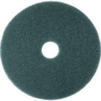 Cleaner Pad, 13", Scrubbing, Blue Equipex