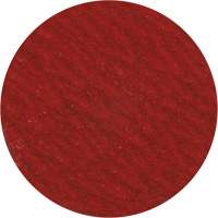 Disque de ponçage 3" &agrave; support verrouillable, 3" dia., Grain 36, C&eacute;ramique Equipex