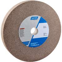 Bench Grinding Wheel, 10" x 1", 1-1/4" Arbor, 1, Aluminum Oxide Equipex