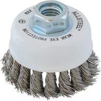 ALLSTEEL Wire Brush, 3" Dia. x 5/8"-11 Arbor Equipex