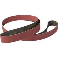 Cubitron II 784F Cloth Sanding Belt, 1/4" W x 24" L, Ceramic, 36+ Grit Equipex