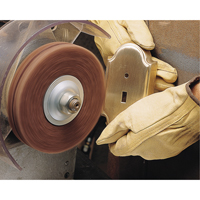 Scotch-Brite High Strength Discs (Aluminum Oxide), 6" Dia., Very Fine Grit, Aluminum Oxide Equipex