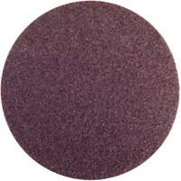 Non-Woven Hook & Loop Disc, 4" Dia., Medium Grit, Aluminum Oxide Equipex