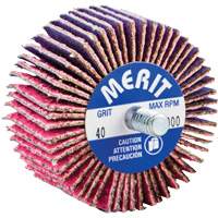 Threaded Mini Flap Wheel, Ceramic Alumina, 40 Grit, 2" x 1" x 1/4"-20 Equipex