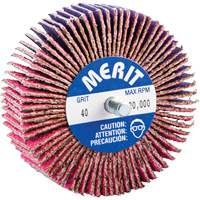 Threaded Mini Flap Wheel, Ceramic Alumina, 40 Grit, 3" x 1" x 1/4"-20 Equipex