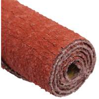 Standard Abrasives Straight Cartridge Roll Equipex
