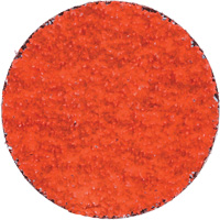 Blaze R980P Quick-Change Cloth Disc, 2" Dia., 36 Grit, Ceramic Alumina Equipex