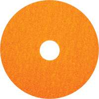 BlazeX F980 Fiber Disc, Ceramic Alumina, 36, 5" Dia x 7/8" Arbor Equipex