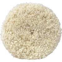 Tampon pour mastic de 05703, 8" dia., Laine Equipex
