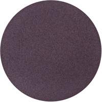 Metalite&reg; Cloth PSA Sanding Disc, 10" Dia., 36 Grit, Aluminum Oxide Equipex