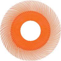 Brosse radiale en soies de pr&eacute;cision type C PN-RB sans adaptateur Scotch-Brite , C&eacute;ramique, Grain 80+, 6" dia. Equipex