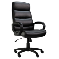 Activ Series A-601 Office Chair, Polyurethane, Black, 275 lbs. Capacity Equipex