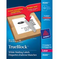&eacute;tiquettes d'exp&eacute;dition au laser TrueBlock, 11" la x 8,5" la x Blanc Equipex