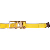 Tendeurs d'arrimage &agrave; cliquet, Crochet plat, 4" , 30' , Charge d'utilisation max. 5400 lb (2450 kg) Equipex