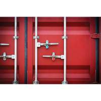 High Security Security Seal, 3-1/4", Metal, Bolt Seal Equipex