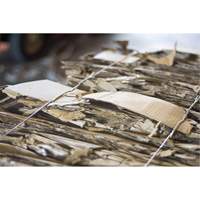 Baling Wire, Galvanized, 13-1/2' L, 13 ga. Equipex