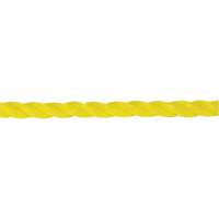 1/4" Braided Yellow Rope, Polypropylene, 1300' Equipex