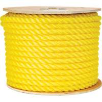 5/8" Braided Yellow Rope, Polypropylene, 200' Equipex
