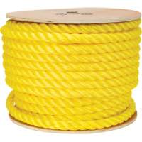 Braided Yellow Rope, Polypropylene, 144' Equipex