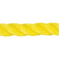 Braided Yellow Rope, Polypropylene, 144' Equipex
