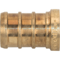 Capuchon de tuyau sans plomb, Tuyau, 1/2" dia., Laiton Equipex