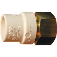 Adaptateur de tuyau filet&eacute;, Noeud x FPT, 1" dia., Laiton/PVC-C Equipex