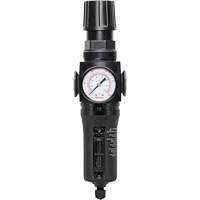 Filtre/r&eacute;gulateur drain manuel avec bol en m&eacute;tal Modulair 300, 1/4" NPT, 250 PSI, Capacit&eacute; de 5,1 oz liq. Equipex