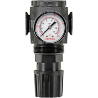 R&eacute;gulateur avec manom&egrave;tre Modulair 300, 1/4" NPT, PSI max. de 300 psi, Canalisation/Modulaire Equipex